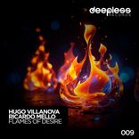 Artwork for "Flames of Desire"