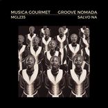 Artwork for "Salvo Na"