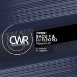 Artwork for "Digigasm EP"