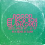 Artwork voor "Hi Fly"