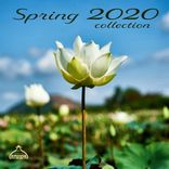 Artwork für "Spring 2020 Collection (Extended)"