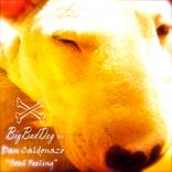 Artwork for "Soul Feeling"