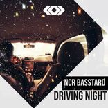 Artwork for "Driving Night"