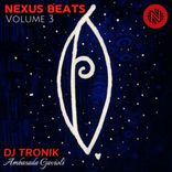 Artwork voor "Ambasada Gavioli"