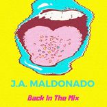 Artwork voor "Back In The Mix"