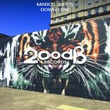 Artwork for "Down Low"