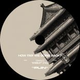 Artwork for "HOW FAR WE GOING BACK?"