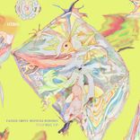 Artwork for "Fire Box EP"