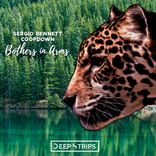 Artwork for "Brothers In Arms"