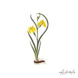 Artwork for "ADE Sampler"