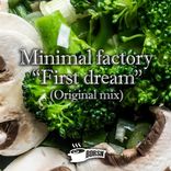 Artwork voor "First Dream"