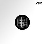 Artwork for "Biometric Visas"