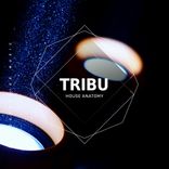 Artwork for "Tribu"