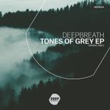 Artwork for "Tones of Grey"
