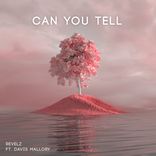 Artwork voor "Can You Tell"