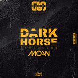 Artwork for "Dark Horse"