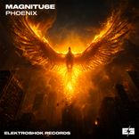 Artwork for "Phoenix"