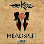 Portada para "Headsplit"