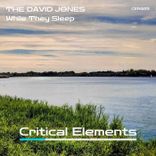 Artwork for "While They Sleep"