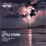 Artwork for "Little Storm"