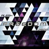 Artwork for "Freedom"