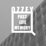 Artwork for "Past Life Memory"