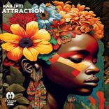 Artwork für "Attraction"