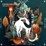 Artwork for "Exhilarating"