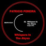 Whispers in the Abyss