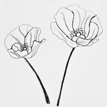 Artwork for "Amapola"