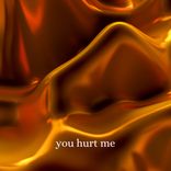 Artwork für "You Hurt Me"