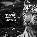 Artwork voor "Last Will"