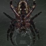 Artwork for "Imbalance"