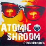 Artwork for "Good Memories"