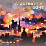 Artwork voor "Starting the Night"