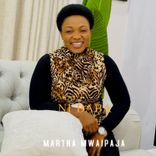 Artwork voor "Ni Baba"