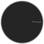 Portada para "Lovers"