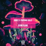 Artwork for "Bling Bling"