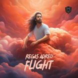 Artwork voor "Flight"