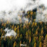 Portada para "The Glass Clouds"