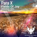 Portada para "Fields Of Joy"