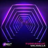 Artwork for "Funkadelic"