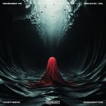 Artwork for "Remember Me / Seraphic Veil"