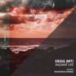 Artwork for "Radiant Life"