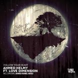 Artwork for "Follow Your Heart"