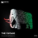 Portada para "Shadows of Palestine"