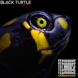 Artwork for "Tech Winter 2021"