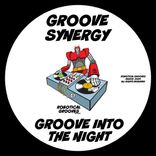 Artwork für "Groove Into The Night"