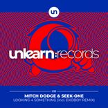 Artwork voor "Looking 4 Something"