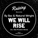Artwork for "We Will Rise"